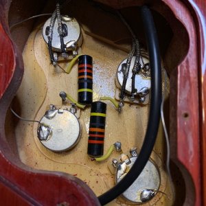 Media 'CONTROL CAVITY w:BUMBLEBEES.jpg' in album '2007 Gibson CR8 Chambered Les Paul Historic Reissue/ Cherry Sunburst VOS'