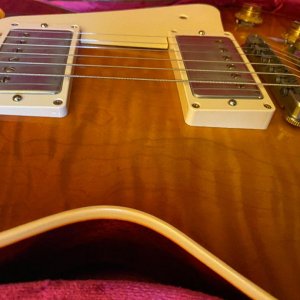 Apricot Top 2.jpg