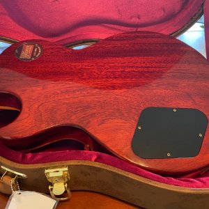 Apricot Back 3.jpg