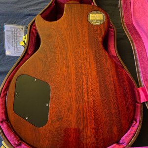 Apricot Back.jpg